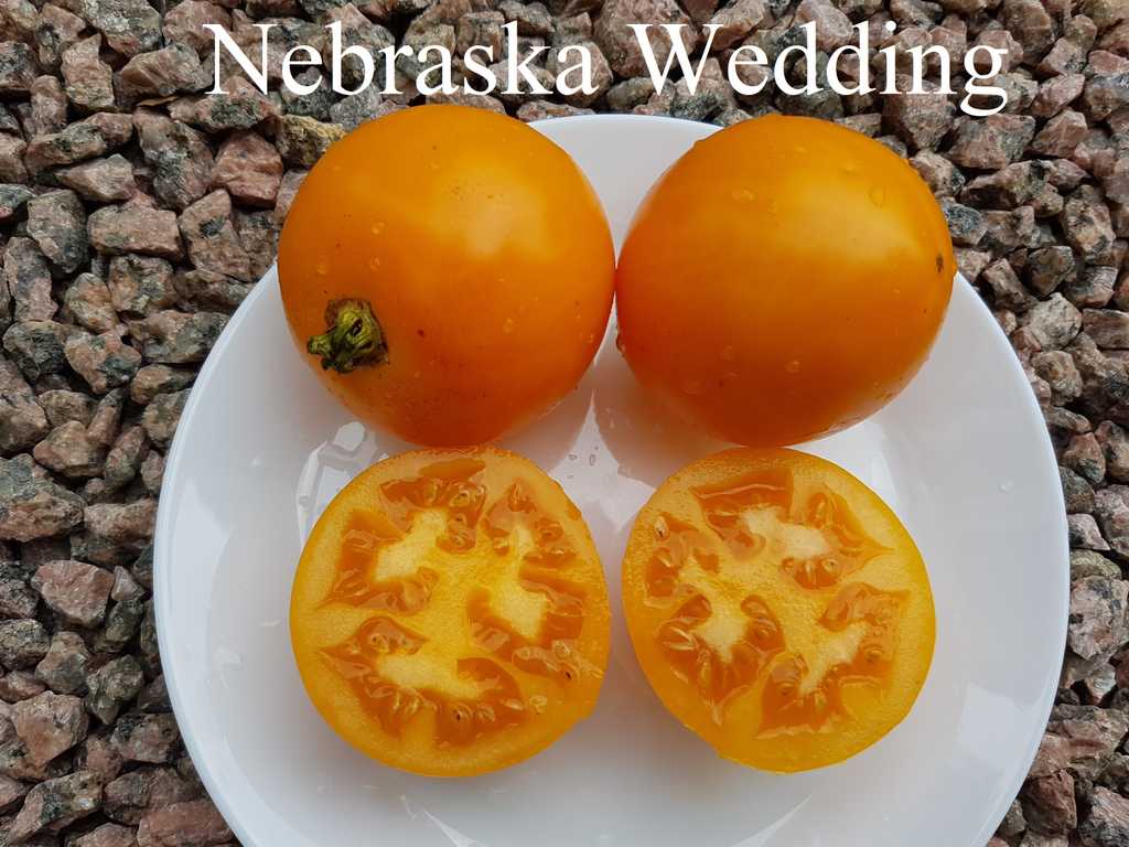 Nebraska Wedding